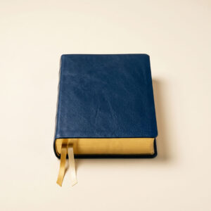 Renewal Study Bible